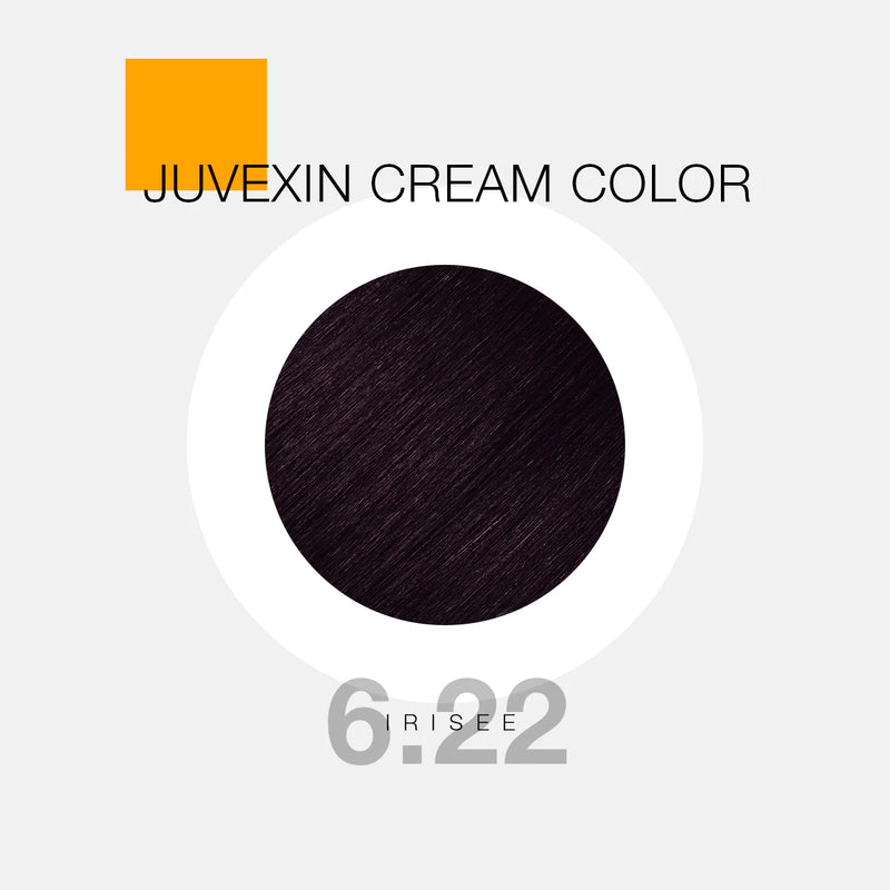 GK Hair Color - Juvexin Cream Color Pro Irisee 6.22