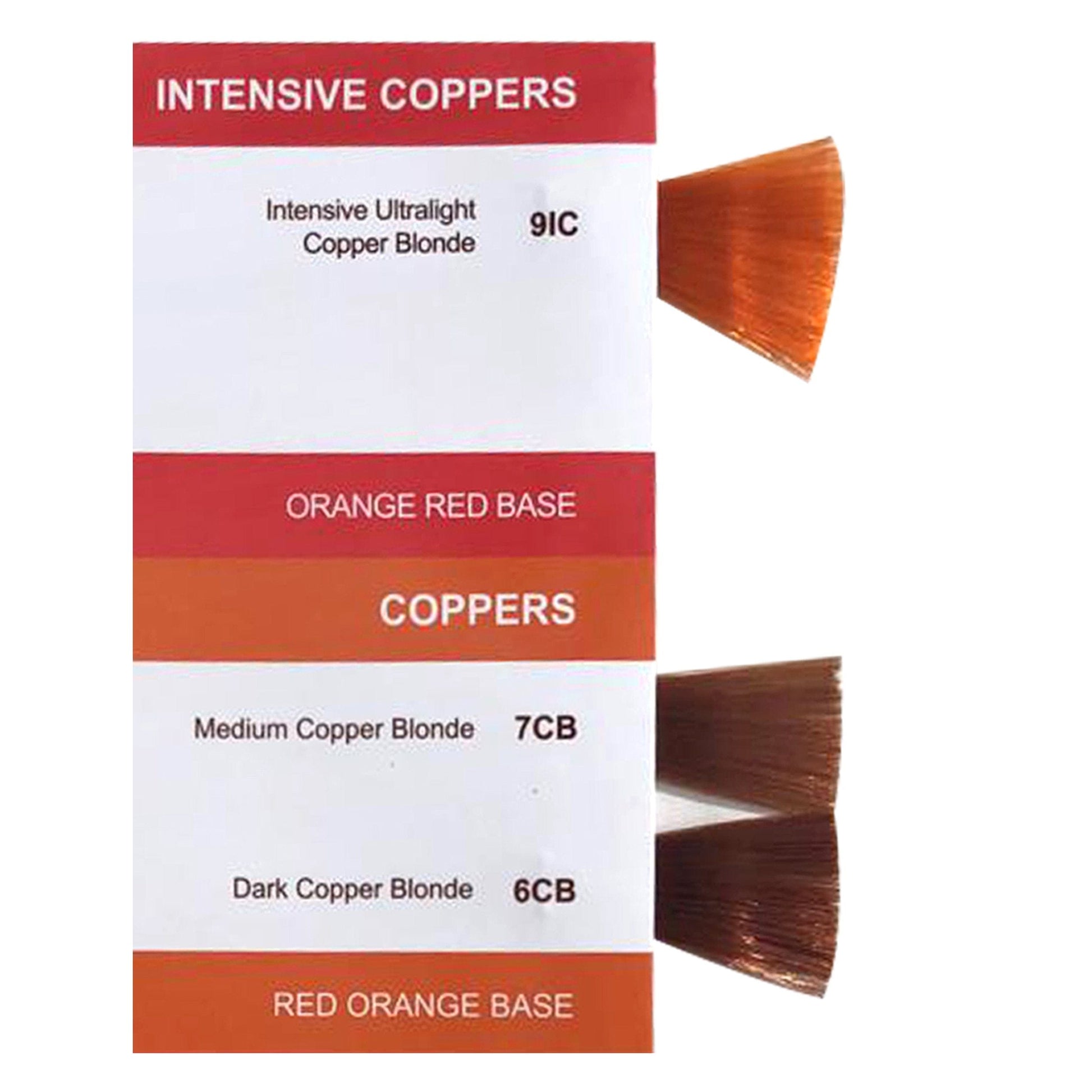 Prorituals Hair Color Coppers Salon Professional